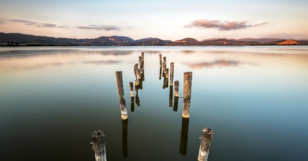 Guida al Lago di Massaciuccoli e Oasi LIPU: cosa fare e vedere 