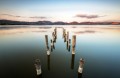 Guida al Lago di Massaciuccoli e Oasi LIPU: cosa fare e vedere 