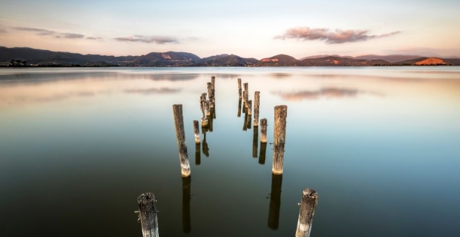 Guida al Lago di Massaciuccoli e Oasi LIPU: cosa fare e vedere 